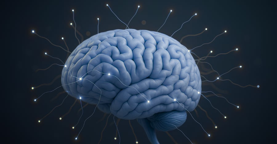 A brain shown in shades of blue