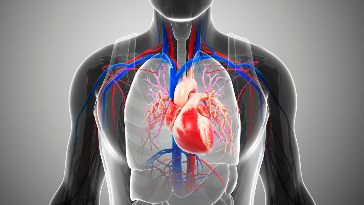 Heart Health Blog  Image