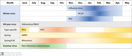 Seasonal Respiratory Virus Infection Calendar