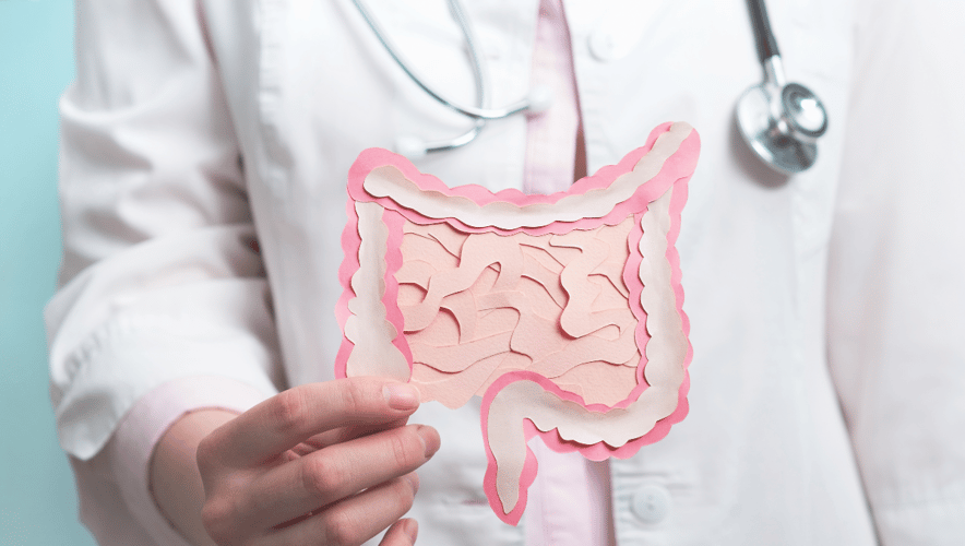 A hand holds an illustrated depiction of the human digestive tract