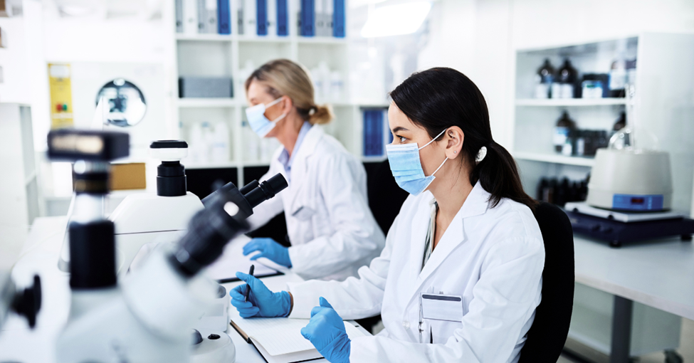 Researchers work in a lab