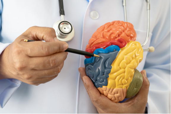 Understanding Brain Cancer: Navigating Diagnosis, Treatment, and Hope